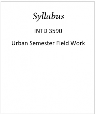 INTD 3590 Syllabus Image
